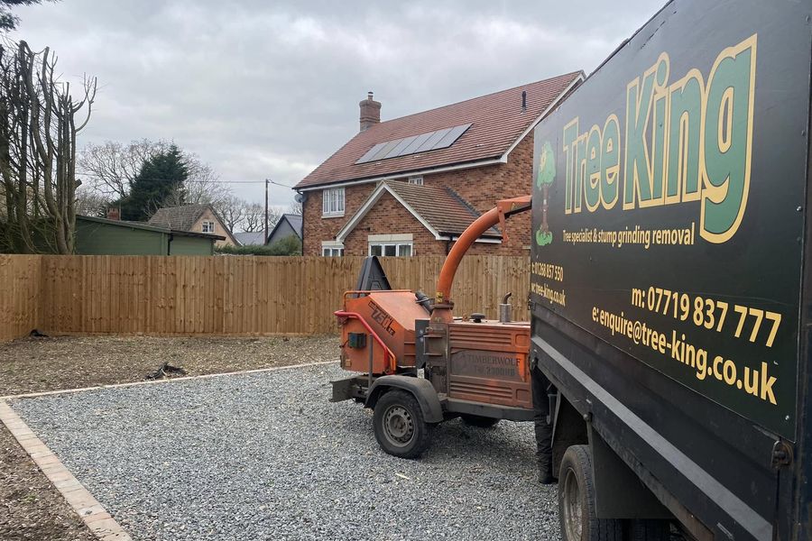 Grounds and garden clearance by Tree King