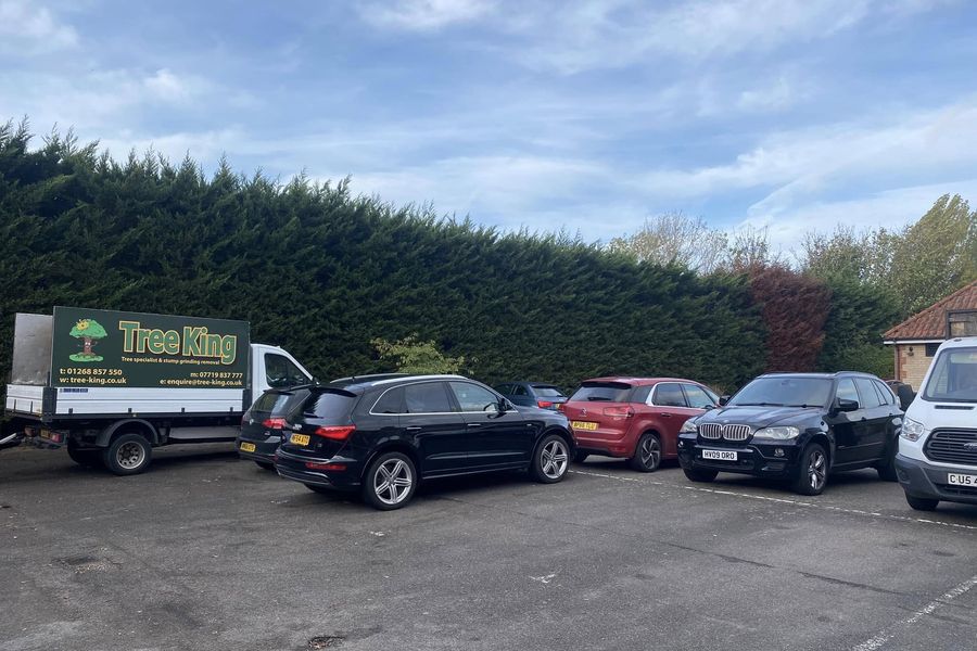 Hedge cutting and shaping by Tree King