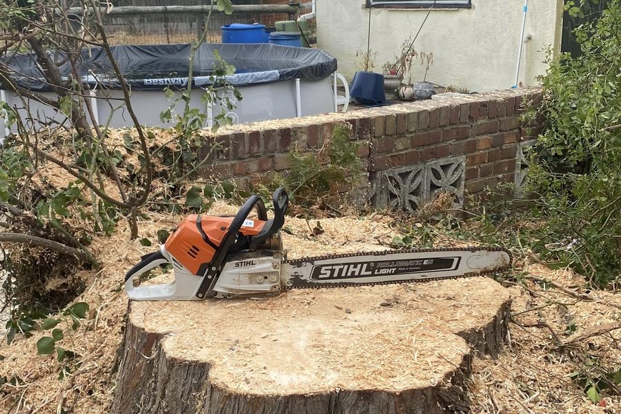Stump grinding by Tree King