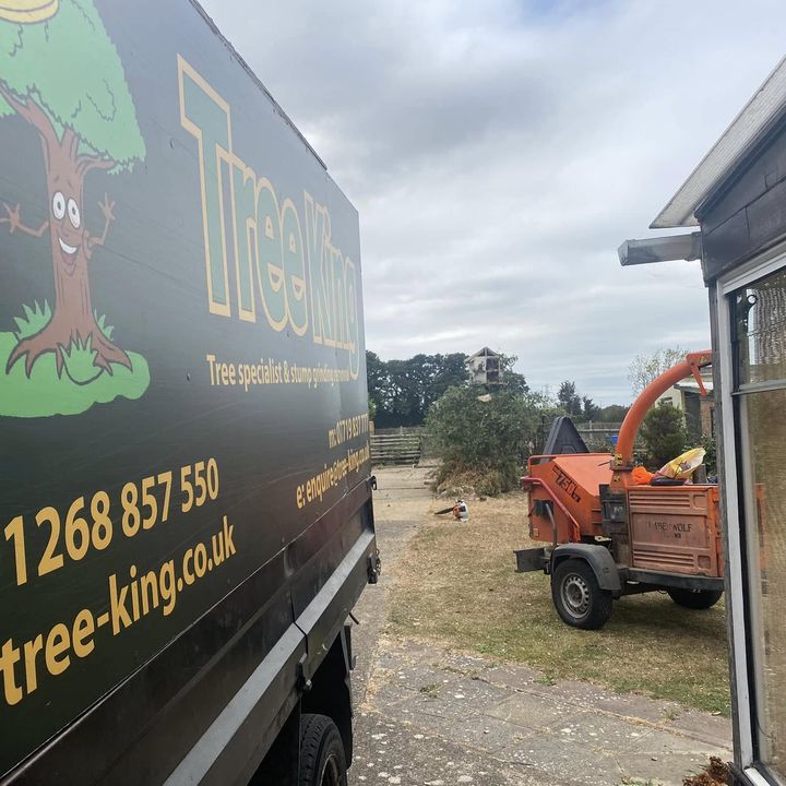 Tree King tree surgery work