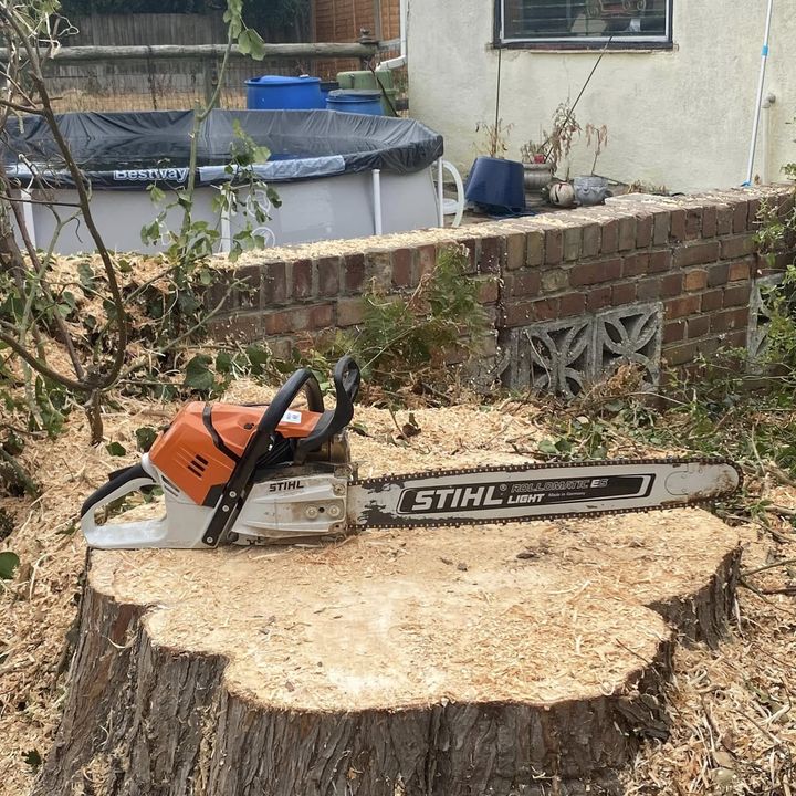 Tree King tree surgery work